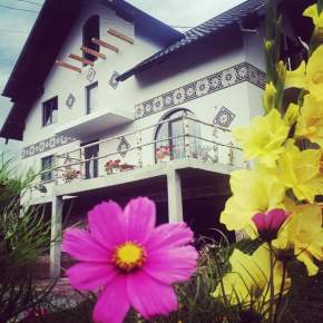 Casa Aureliana